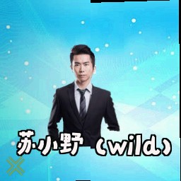 苏小野 (Wild)