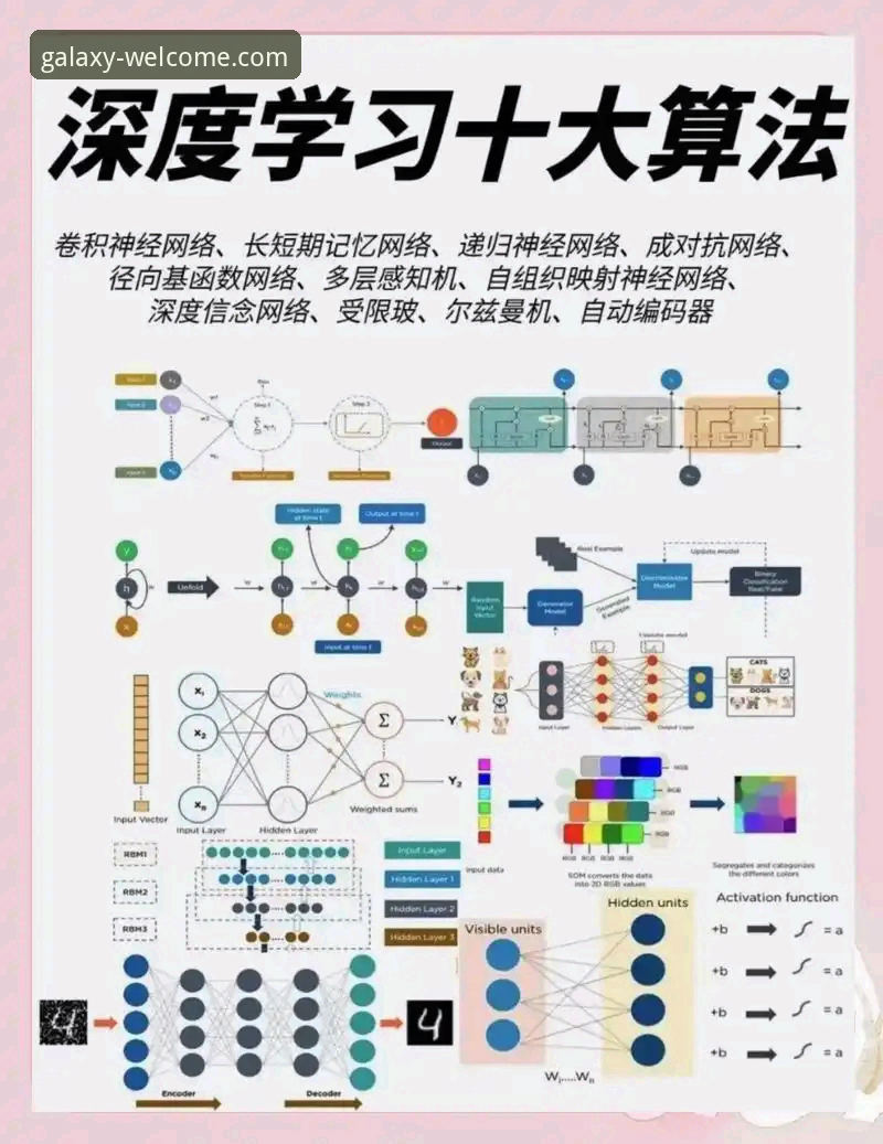银河官方平台深度分析：从新手到高手的全面操作指南